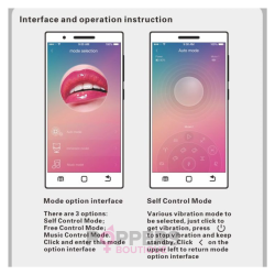 Boules de Geisha vibrantes Elvira 8 x 3.2 cm Rose Boules de Geisha vibrantes Elvira 8 x 3.2 cm Rose