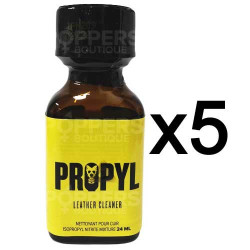 Lot de 5 Poppers Propyl 24 ml