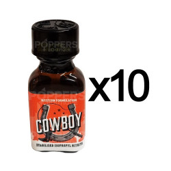 Lot de 10 Poppers Iron Horse 24...