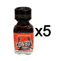 Lot de 5 Poppers Iron horse 24...